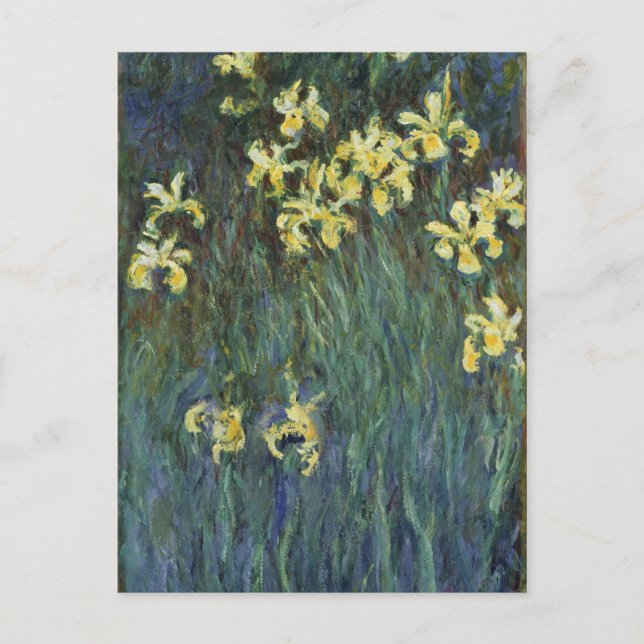 Carte Postale Claude Monet - Iris jaunes (Devant)