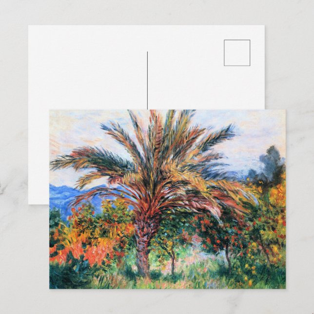 Carte Postale Claude Monet, Palmier à Bordighera, (Devant / Derrière)