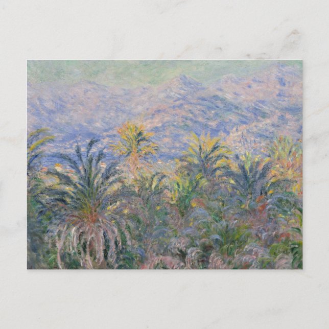 Carte Postale Claude Monet | Palmiers à Bordighera (Devant)