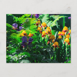 Carte Postale Claude Monet Type Stylisé Jardin Iris