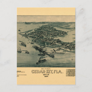 Carte Postale Clé de cèdre