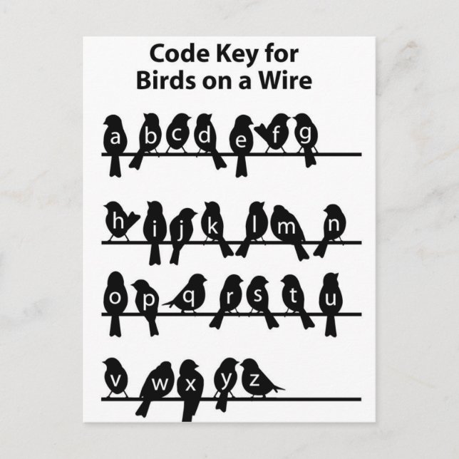 Carte Postale Clé de code - Oiseaux sur un fil (Devant)