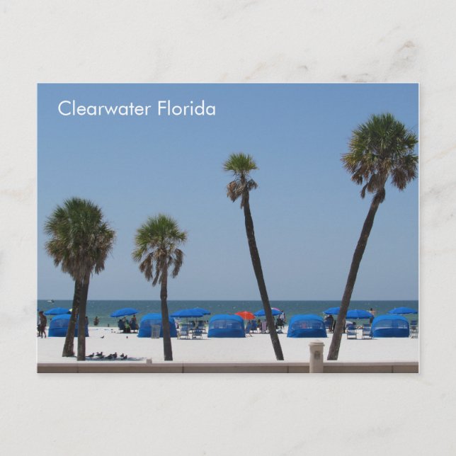 Carte Postale Clearwater Beach, Floride (Devant)