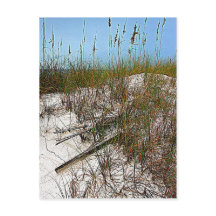 Clearwater Beach Floride cadeaux d'art