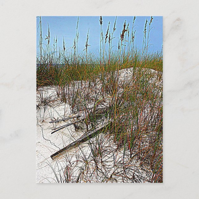 Carte Postale Clearwater Beach Floride cadeaux d'art (Devant)