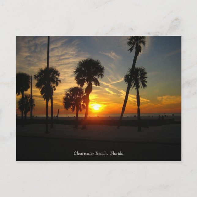 Carte postale Clearwater Beach Sunset (Devant)