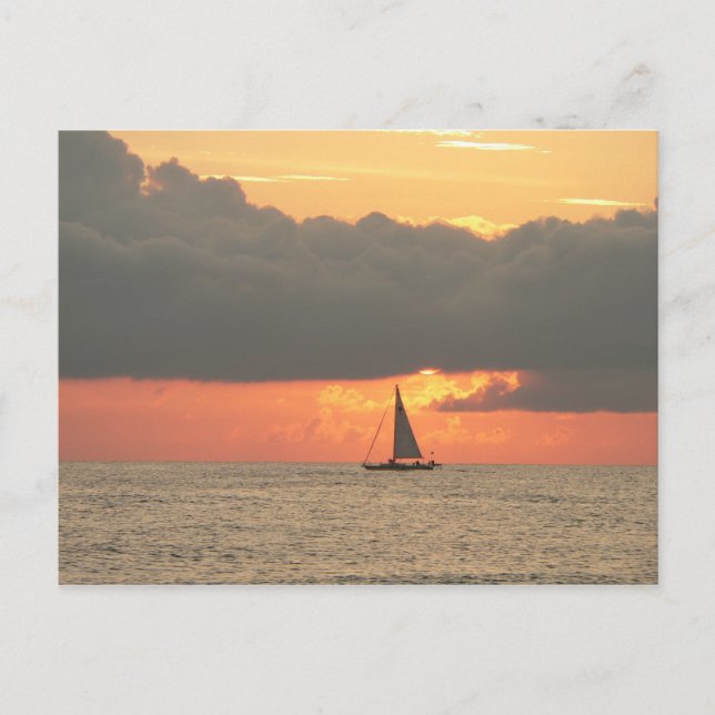 Carte postale Clearwater Beach Sunset (Devant)