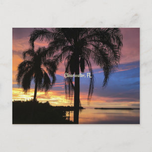 Carte Postale Clearwater, Floride photo paysage