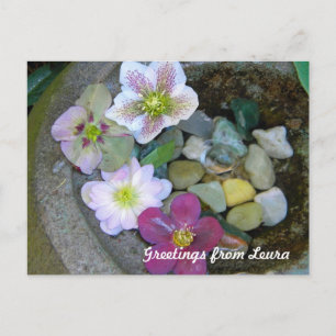 Carte postale Clematis
