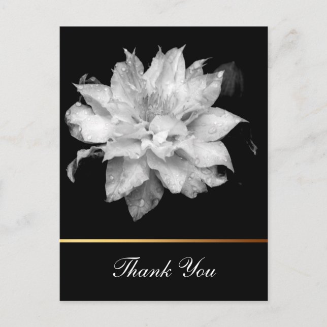 Carte Postale Clematis 3c Floral B&W Photo Sympathie Merci (Devant)