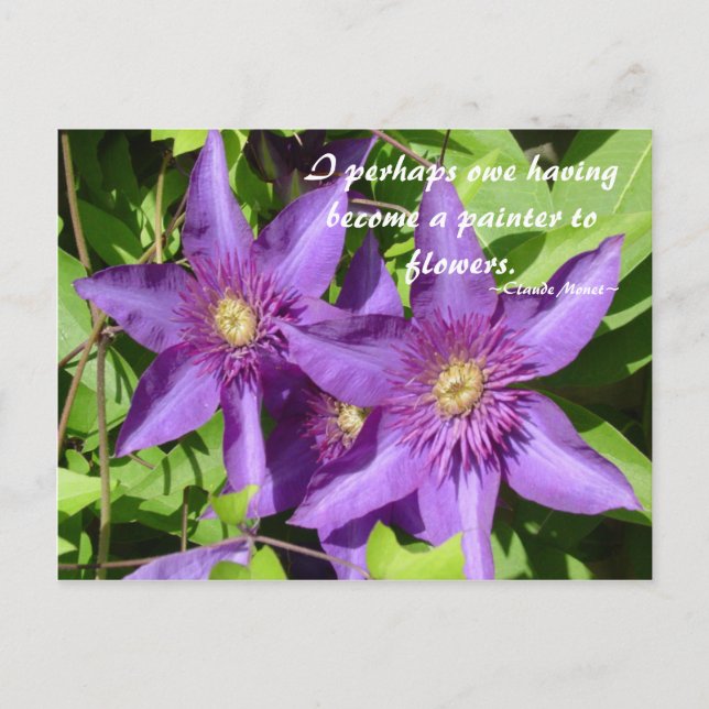 Carte Postale Clematis - Monet (Devant)