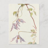 Clematite lilas par Margaret Armstrong