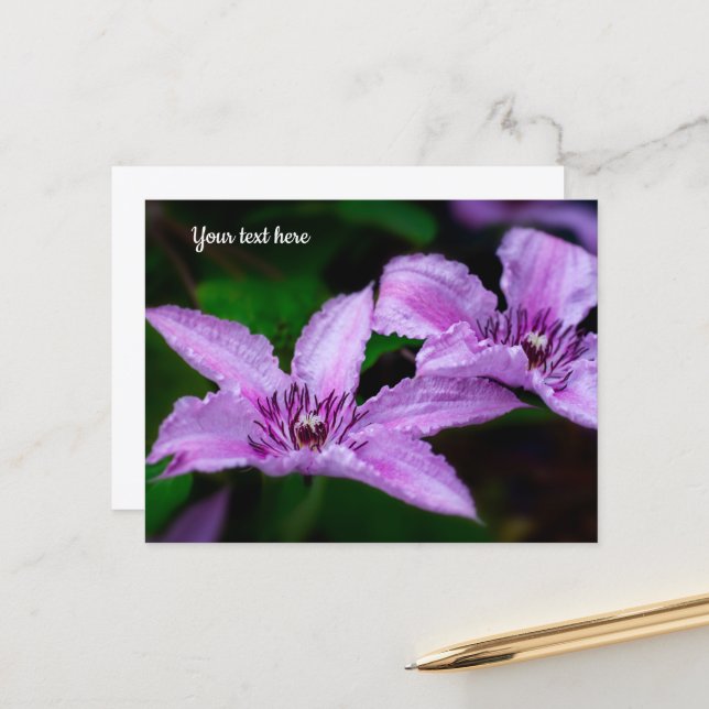 Carte postale Clématite violette (Devant/Arrière en situation)