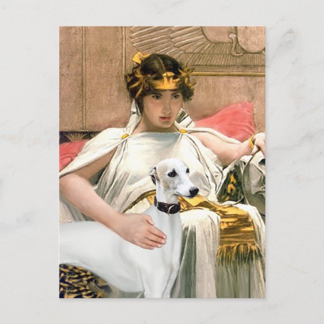 Carte Postale Cléopâtre et Whippet blanc (Devant)