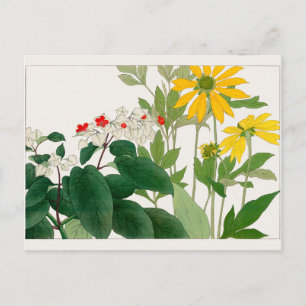 Carte Postale Clerodendrum thomsoniae, Rudbeckia, Tanigami Konan