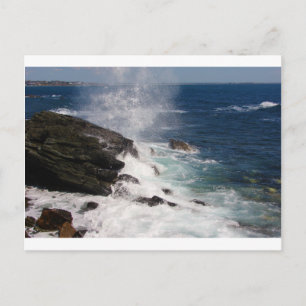 Carte Postale Cliff Walk à Newport, RI