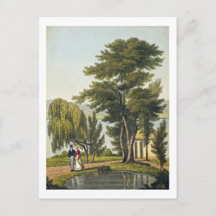 Carte Postale Clifton, de "The Naturama, or, Nature's Endless