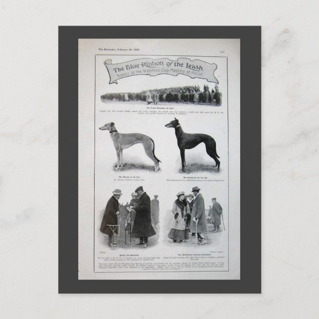 Carte Postale Clip vintage de nouvelles Greyhound (Devant)