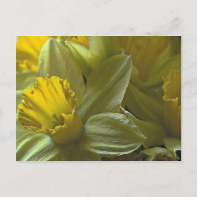 Carte Postale Cloches Sur Les Lames Feuille (Devant)
