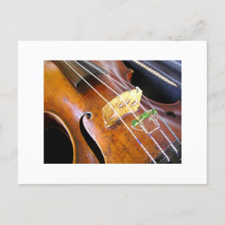 Carte Postale Closeup de violon