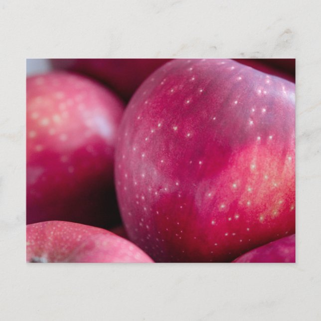 Carte Postale Closeup des pommes rouges (Devant)