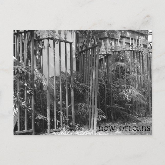 Carte Postale Clôture (Devant)