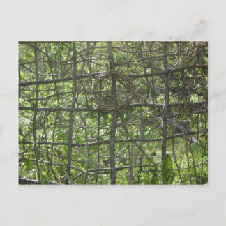 Carte Postale Clôture