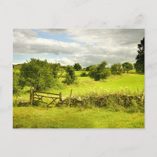 Carte Postale Clôture, champs et Meadowsweet (Devant)