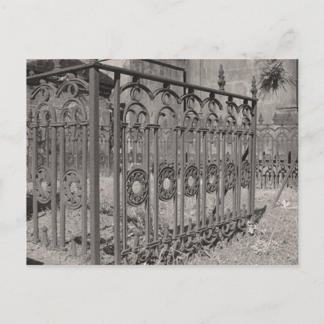 Carte Postale Clôture de clôture rouillée (Devant)
