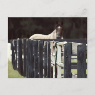 Carte Postale clôture de ferme avec cheval derrière sepia