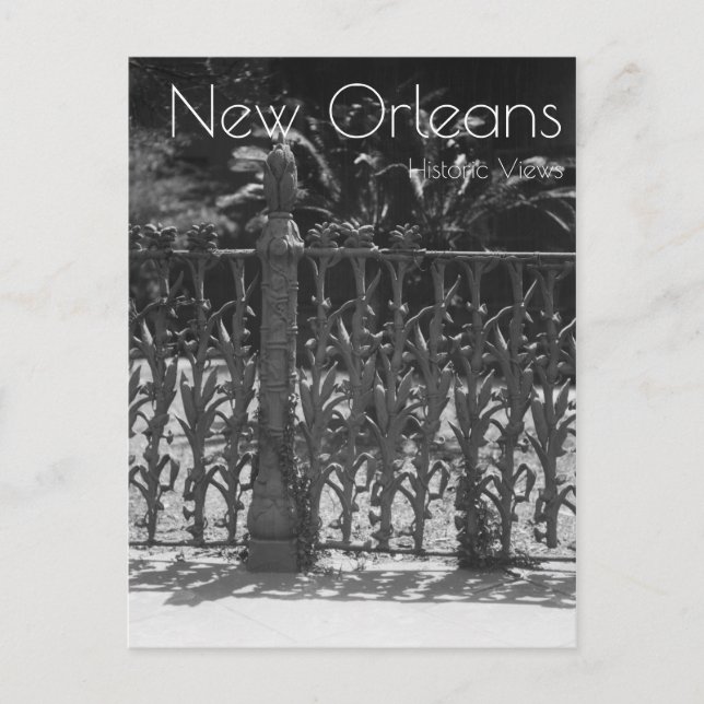 Carte Postale Clôture en fer forgé de Cornstalk (Devant)