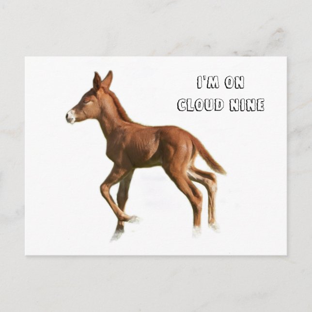 Carte postale Cloud Nine (Devant)