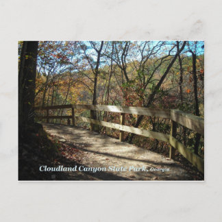 Carte Postale Cloudland Canyon State Park Pathway Postcard