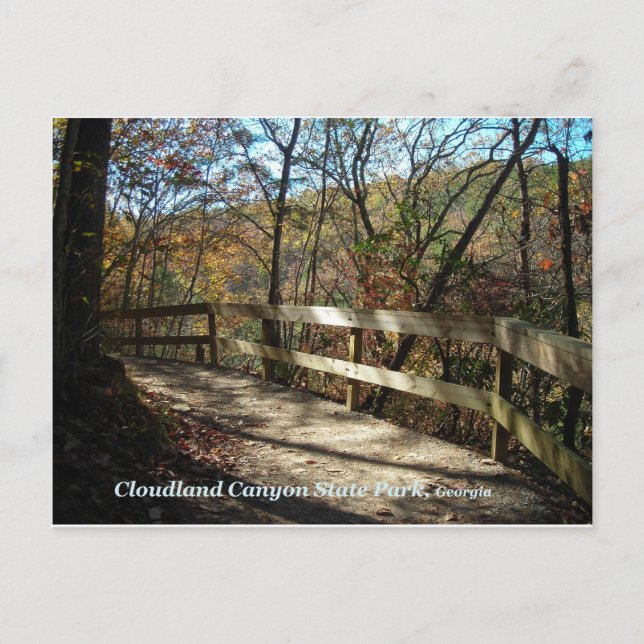 Carte Postale Cloudland Canyon State Park Pathway Postcard (Devant)