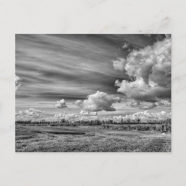 Carte Postale Clouds de rattrapage (B&W) (Devant)