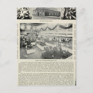 Carte Postale Cloverdale, Californie