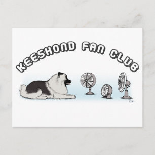 Carte Postale Club de fans Keeshond