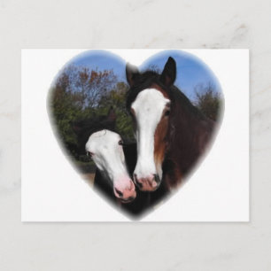 Carte Postale Clydesdales au coeur