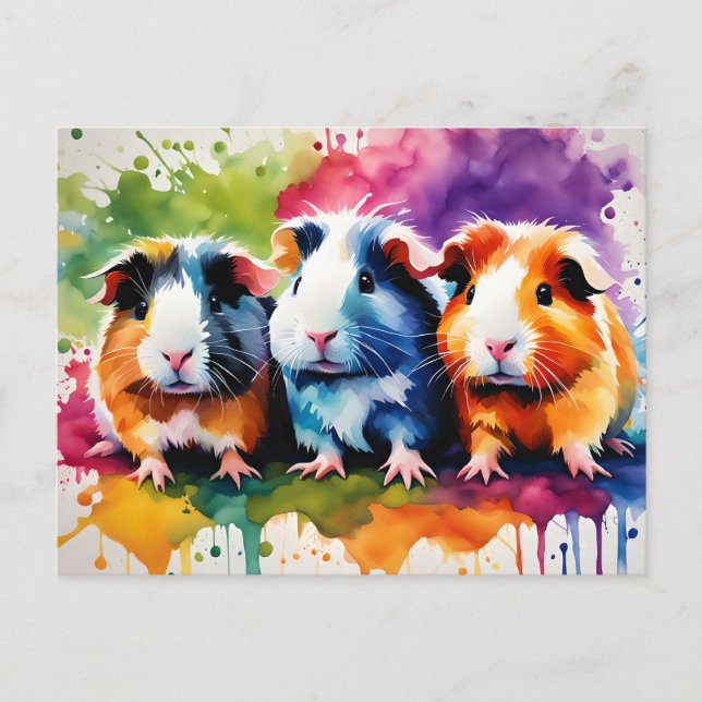 Carte Postale Cobayes mignons aux éclaboussures de couleur, sur  (Devant)