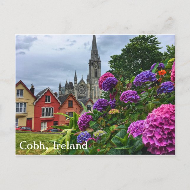 Carte Postale Cobh Ireland, Hydrangeas (Devant)
