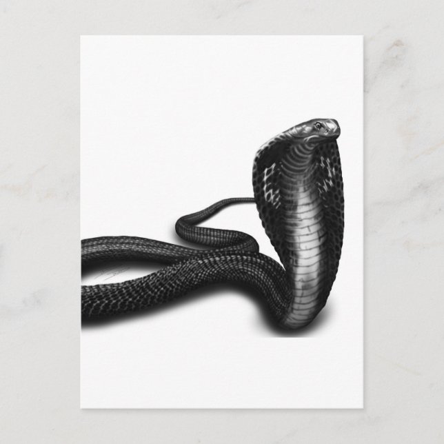 Carte Postale Cobra (Devant)