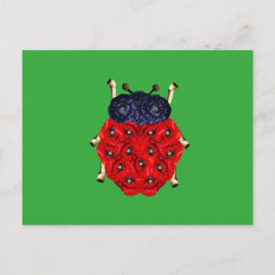 Carte Postale Coccinelle