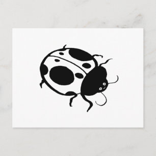 Carte Postale Coccinelle-