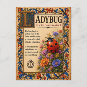 Carte Postale Coccinelle, Art du Bestiaire Médiéval