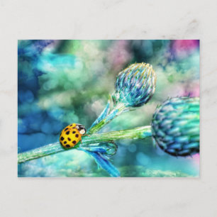 Carte Postale Coccinelle fantastique