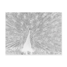 Carte postale - Coche vers couleur