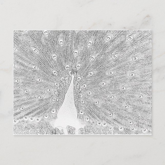 Carte postale - Coche vers couleur (Devant)