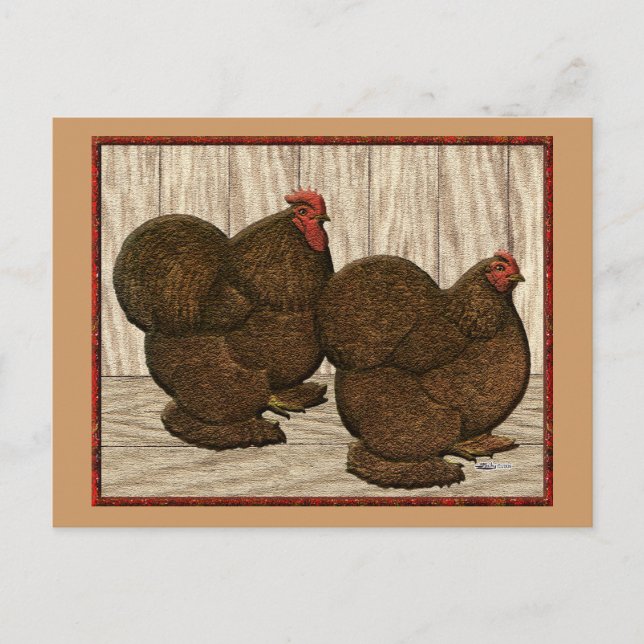 Carte Postale Cochines : Bantams rouges texturés (Devant)
