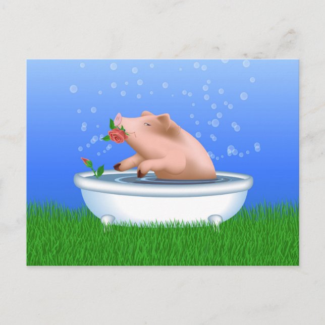 Carte Postale Cochon dans le bain (Devant)