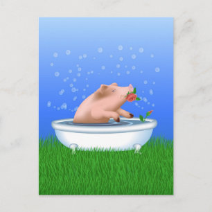 Carte Postale Cochon dans le bain